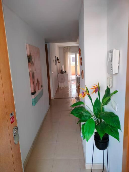 Bajo Con Jardin A Pie De Playa Y Piscina Comunitaria Con Jacuzzi Apartment Playas de Vera Ngoại thất bức ảnh